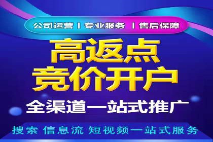 某品牌SEM代运营的成长历程与启示